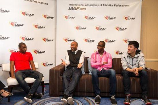 专家: 刘翔团队 的公众形象维护不合格_刘翔_伊