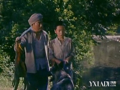 【图】生活中的好伙伴赛虎电影 一只聪明忠实