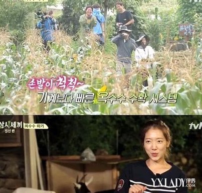 【图】三时三餐朴信惠真情告白玉泽演 两人互