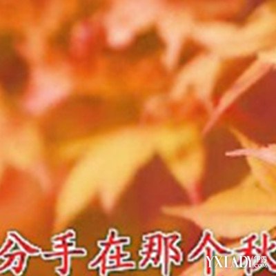 【图】关于分手在那个秋天DJ小可 你知道它的
