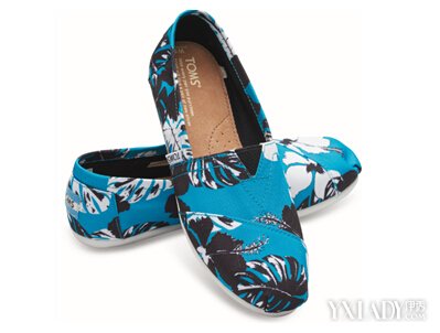 TOMS 2015ﶬƷı䡰Ӧ