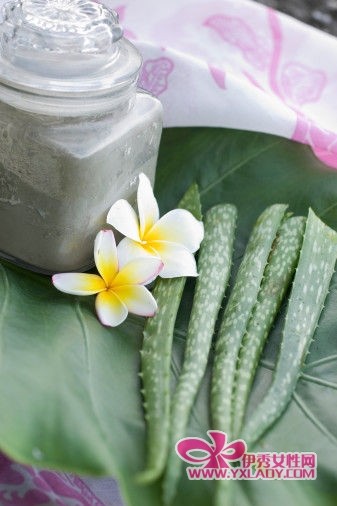 ���Ʊ���жױ��