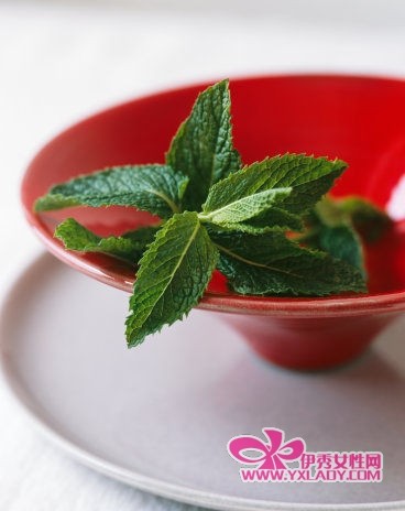 �������ɸ��������