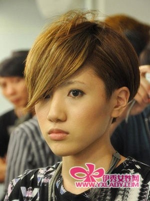 ���̲�һͷ��