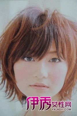 ���ڻ��ȵ�����