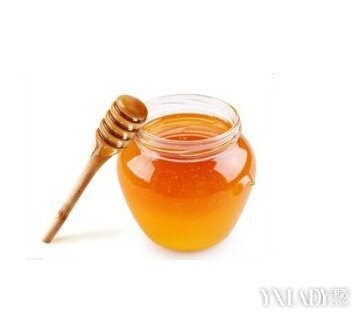 ţ�̷�����Ĥ������