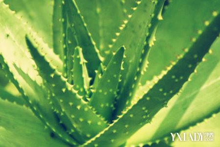 «������������