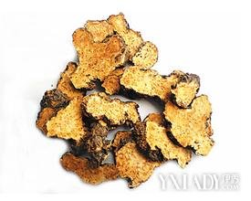 �ഺ������ҽ����