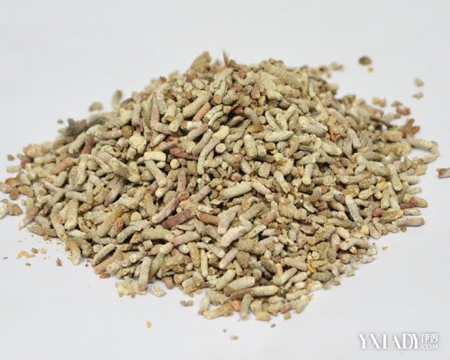 �ഺ������ҽ����