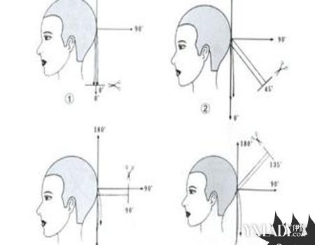 【图】美发头部分区图解好简单 看看你属于哪种发型