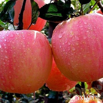 【图】脸上长痘吃什么水果好 几种祛痘水果你