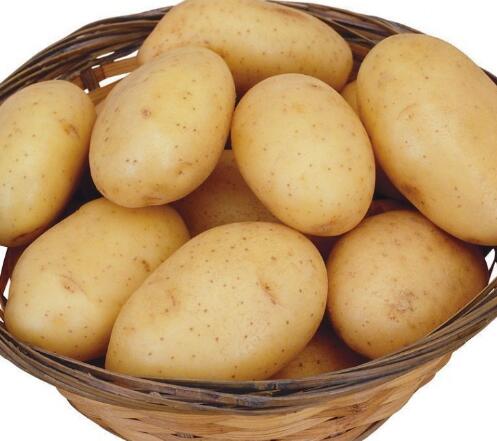 【图】土豆敷脸的功效有哪些 5大功效教你用土