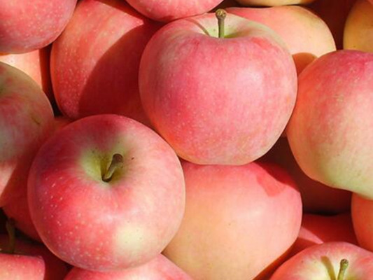 苹果祛痘法 三大步骤还你光洁肌肤|苹果|祛痘-爱