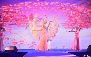 ����ɷ�Ʒ��20�����������ҽ������ʢ��Բ������