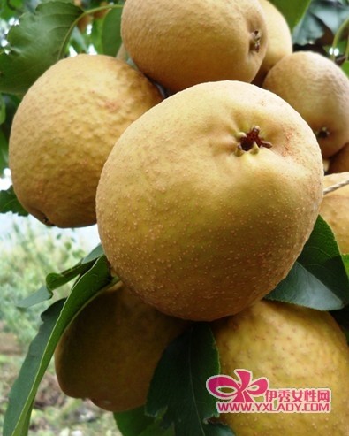 7����佡�����ʷ��� 1�¼���10������������Ƽ��������Ч�ļ��ʷ���