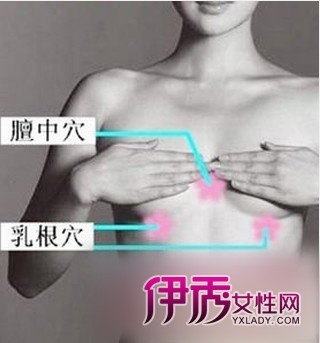 Ѩλ|����|���ذ�Ħ|���ڷ���ʳ��