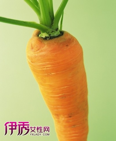 ʳ����˴�ȫ|����|���ڶ���|��ͨ��|����ɢ��