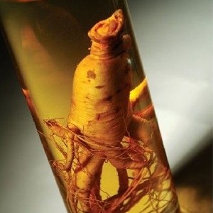 【补肾药酒配方】补肾药酒配方及补肾药酒配方