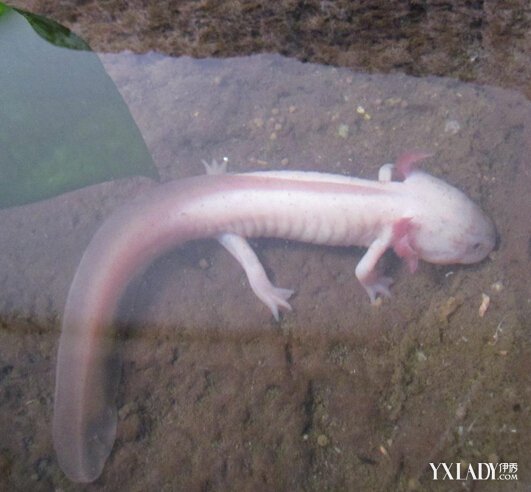 ���ڹ�Ա��������