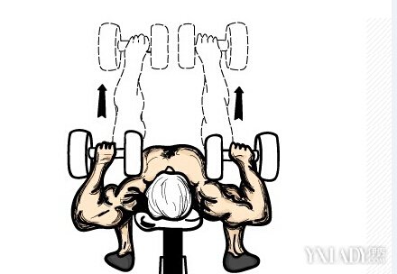 ���� �˶�