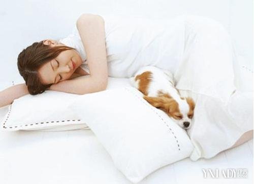 �����ʲô����