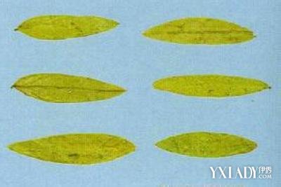 ��кҶ�ܼ�����