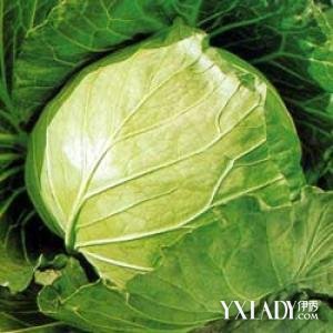 ���Ĳ˼���