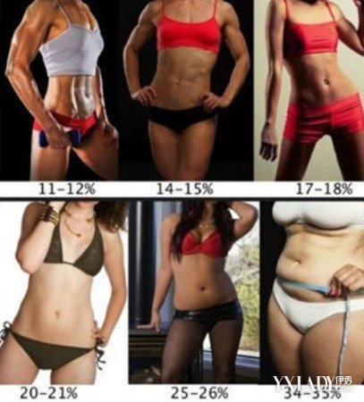 女性体脂率对比图汇总和体重一样重要的事 2 女性体脂率对比图 伊秀美体网 Yxlady Com