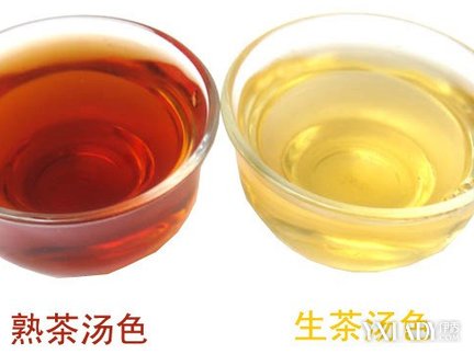 【图】普洱生茶和熟茶哪个减肥效果好 专家教
