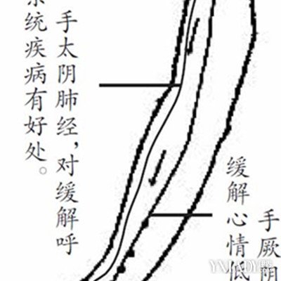 【图】展示手臂经络图 手臂经络知多少?