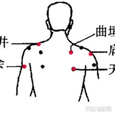 【圖】肩膀穴位圖展示 小編教你一秒認清肩膀的穴位