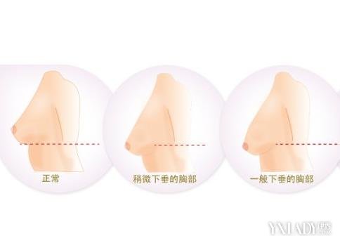 Ů����������