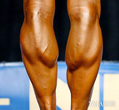 【图】男生瘦小腿肌肉图片展示 几个步骤让你