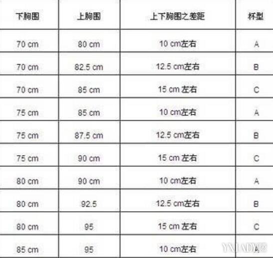 【图】量胸围的方法分享 判断胸围标准度