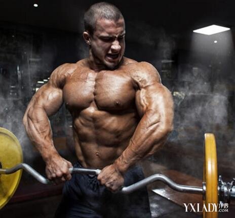 【图】健身房练胸肌的器材有哪些? 三大锻炼方