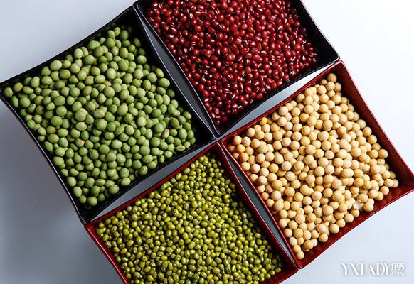 【图】减肥期间中午吃什么不会发胖 哪些食物