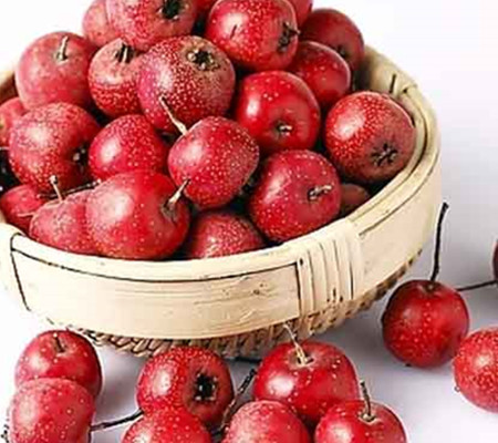 【图】干山楂片泡水能减肥吗 为你推荐9种有关