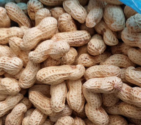 【图】喝核桃仁煮红糖丰胸 3种食物让你更丰满