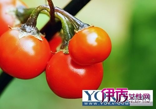 苦瓜减肥法_蜂蜜减肥法3天减6斤_蜂蜜减肥法