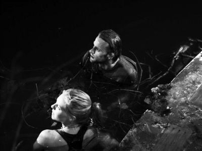 ������֮�ӡ�