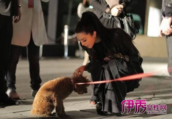 ����������˯���ع� ˽�մ󼯺�