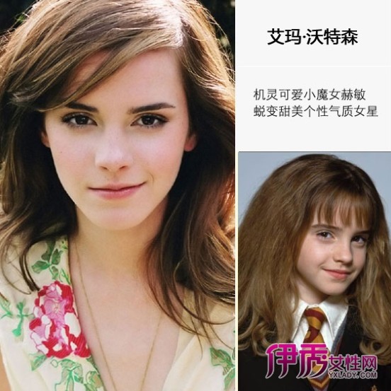 ���ꡤ����ɭ