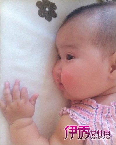 ��ӱɹ���ӽ���Բ��˧��ʮ�� ��ϯ����Ȧ���Ƕ���