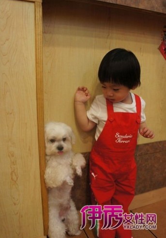 ��ӱɹ���ӽ���Բ��˧��ʮ�� ��ϯ����Ȧ���Ƕ���