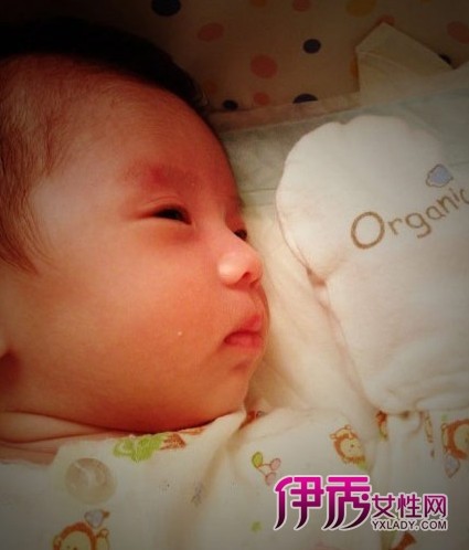 ��ӱɹ���ӽ���Բ��˧��ʮ�� ��ϯ����Ȧ���Ƕ���