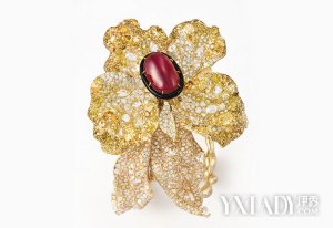 �������˹����̺